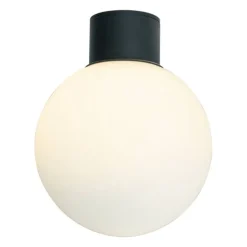 Aneta Lighting plafondi ulkovalaisin Saltvik musta/valkoinen