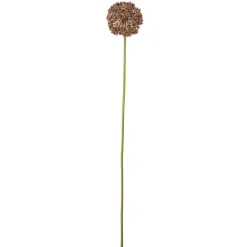 Bloomingville koristeoksa Allium ruskea