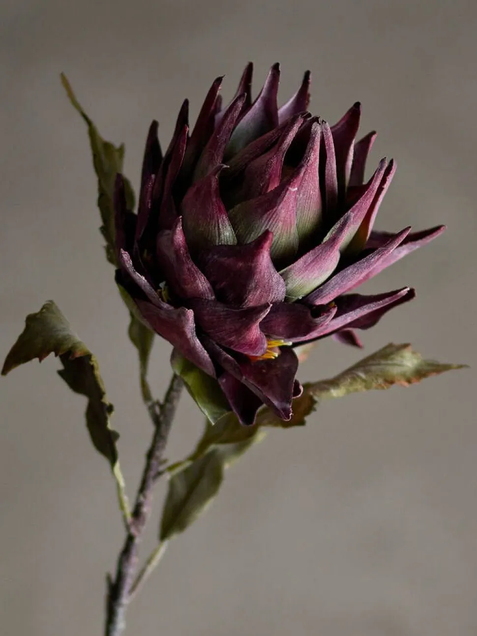 Bloomingville koristeoksa Protea violetti