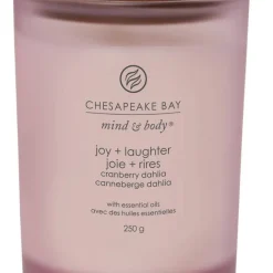 Chesapeake Bay tuoksukynttilä Joy & Laughter M