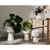 Iittala Kastelupullo Iittala 2 kpl