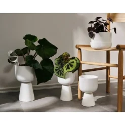 Iittala Kastelupullo Iittala 2 kpl