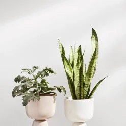 Iittala Nappula Ruukku 260x155 mm beige