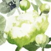 Pentik servietti 25 cm Freesia vihreä