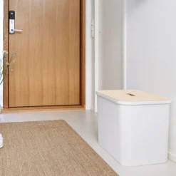 Smartstore Collect lajitteluastia vanerikannella 76 L  valkoinen