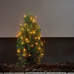 Star Trading valosarja Golden Warm White 40 LED musta 2,8m