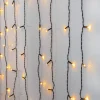 Star Trading valoverho Golden Warm White 120 LED musta 1,3x2