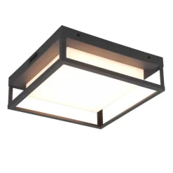 Trio Lighting LED kattovalaisin Witham antrasiitti