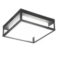 Trio Lighting LED kattovalaisin Witham antrasiitti