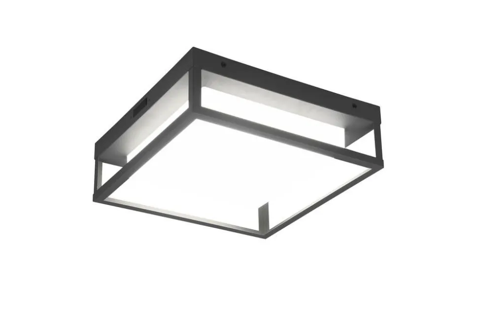 Trio Lighting LED kattovalaisin Witham antrasiitti