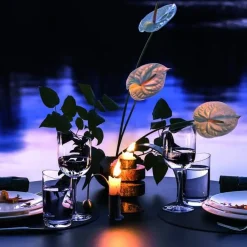 Villeroy&Boch NewMoon Cutlery haarukka 21,8 cm