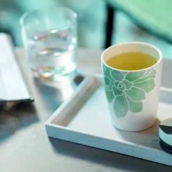 Villeroy&Boch To Go muki Coffee 0,29l socculente
